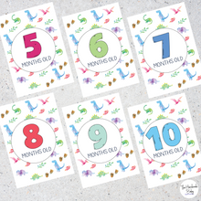 Load image into Gallery viewer, Dinosaur Baby Milestone Cards