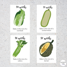 Load image into Gallery viewer, Pregnancy Cards - Week by week