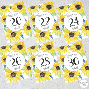 Sunflower Pregnancy Milestone Cards