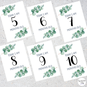 Australian Baby Milestone Cards