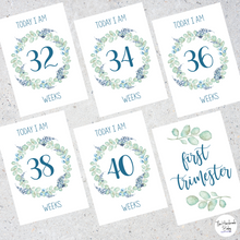 Load image into Gallery viewer, Floral Pregnancy Milestone Cards
