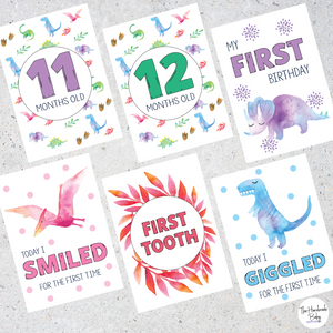 Dinosaur Baby Milestone Cards