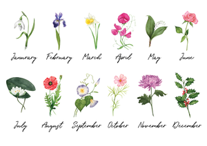 Birth Month Flower Personalised Print