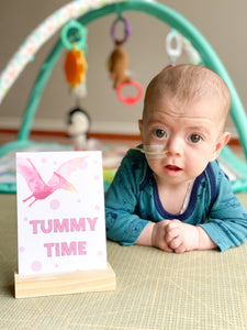 Dinosaur Baby Milestone Cards
