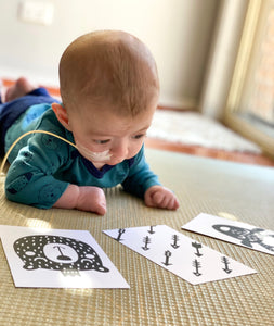 Baby Contrast Cards